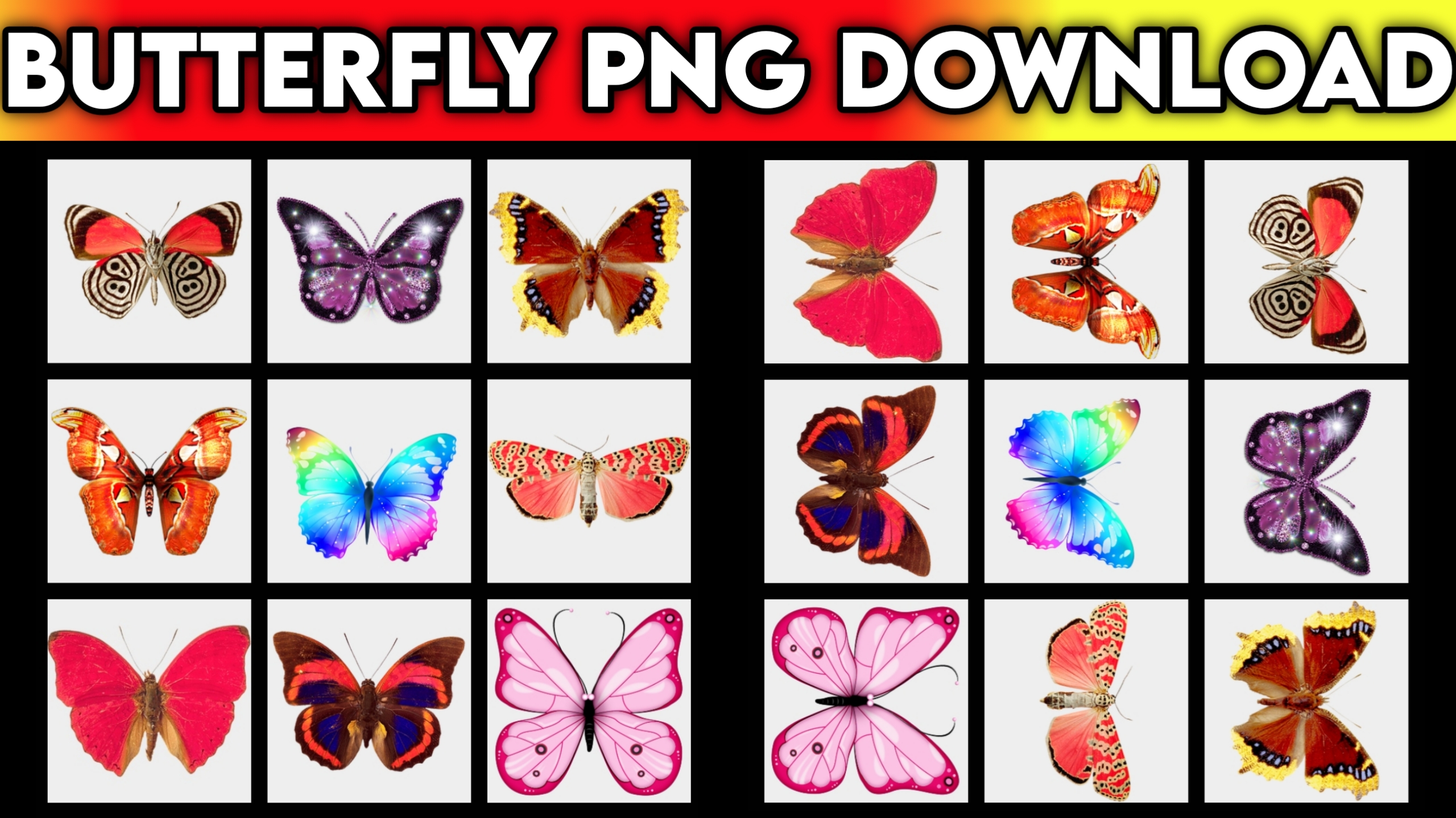 Butterfly Top 10 Png Download 2022 By DjDevrajKasya