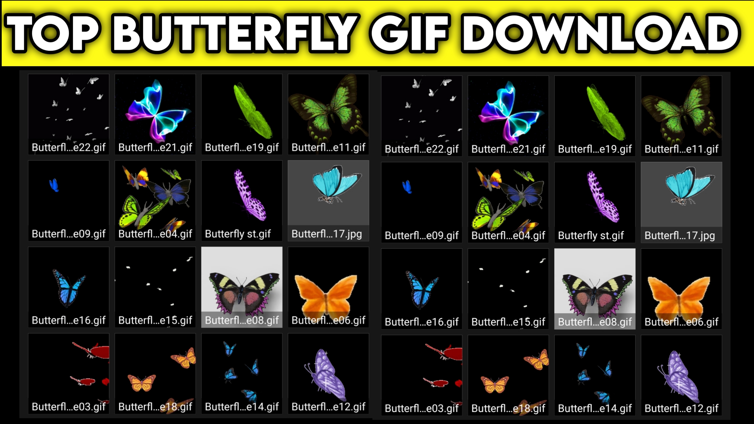 Butterfly Gif Download Free Avee Player Use DjDevrajKasya 2022