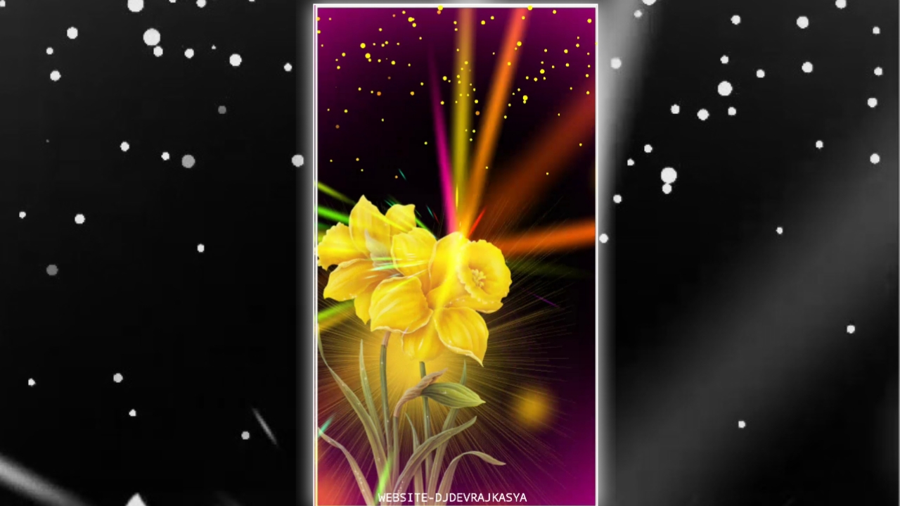 Yellow Flower Effect Template Background Video Download Free