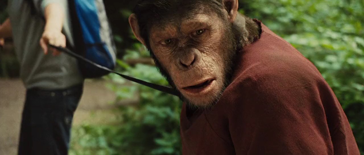 Озвучки обезьяны. Восстание планеты обезьян 2011. Восстание планеты обезьян 1.