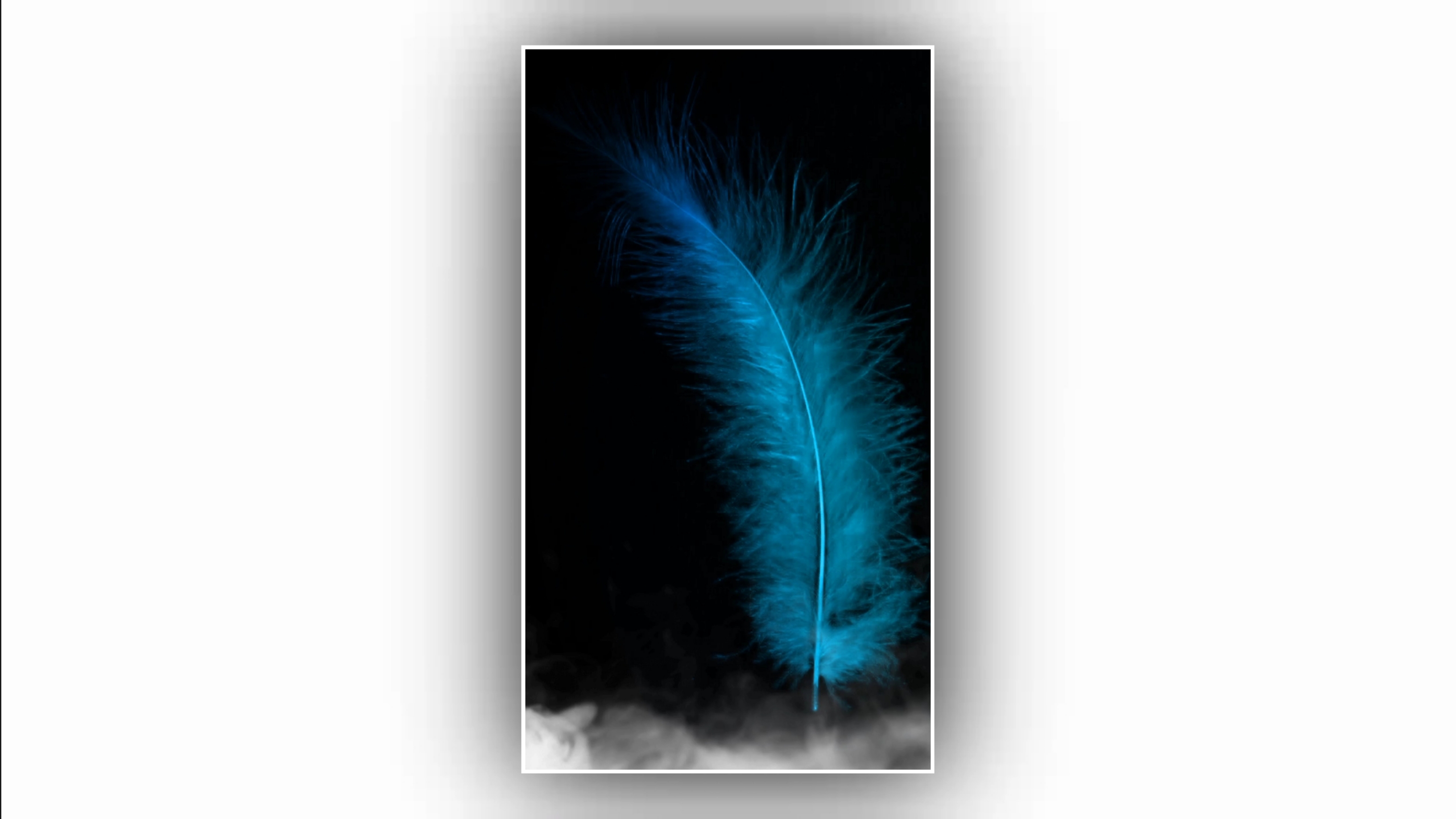 Wing colour black Screen light effect background